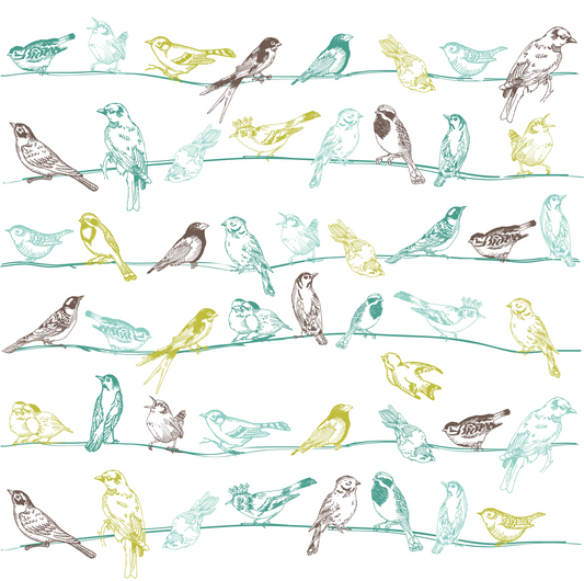 Birds on a Line (Adhesive Vinyl - 12" x 12" Printed Sheet)
